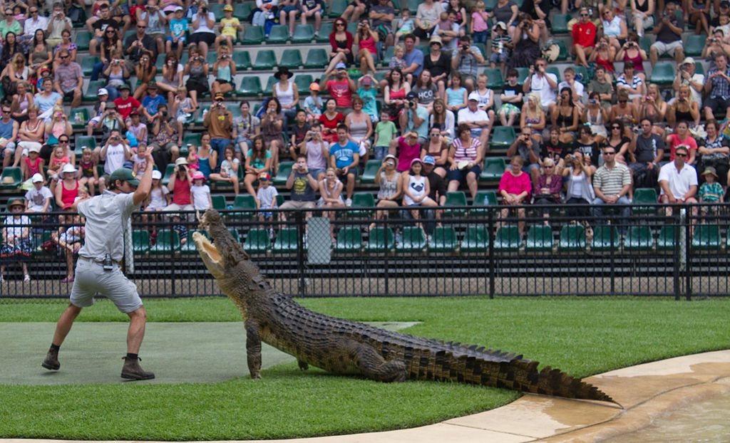 Australia Zoo - Home of the Crocodile Hunter